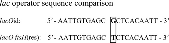 FIG 5 