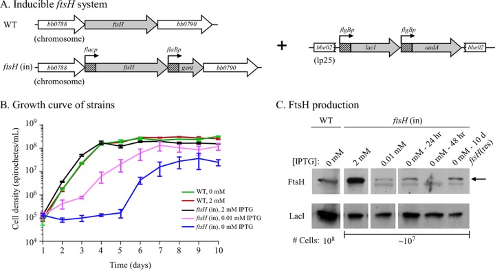 FIG 3 