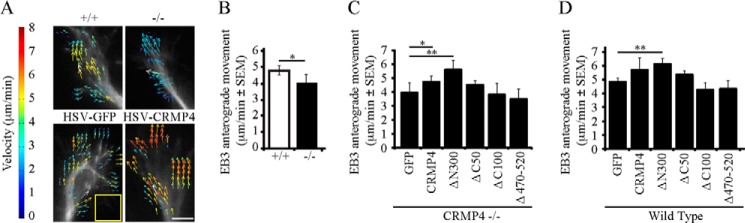 FIGURE 6.