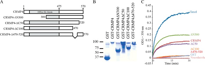 FIGURE 4.