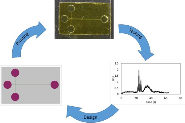 graphic file with name nihms-1027961-f0001.jpg