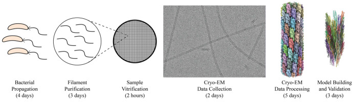 graphic file with name BioProtoc-14-14-5032-ga001.jpg