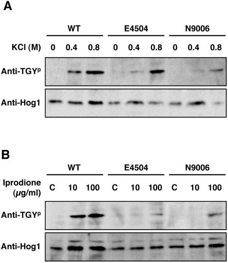 FIG. 4.