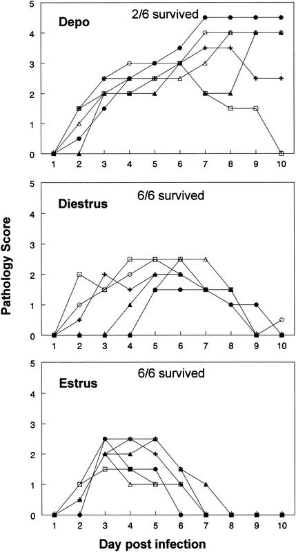 FIG. 6.