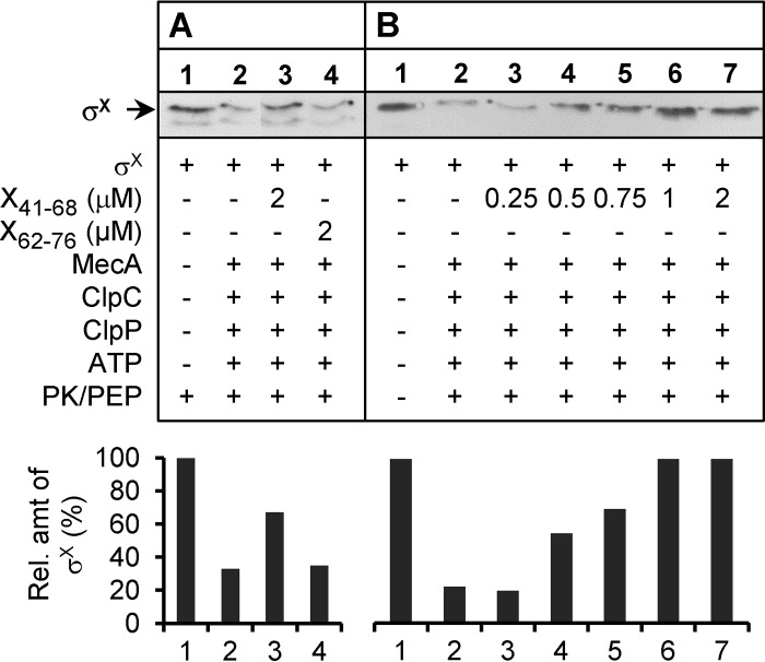 FIG 5