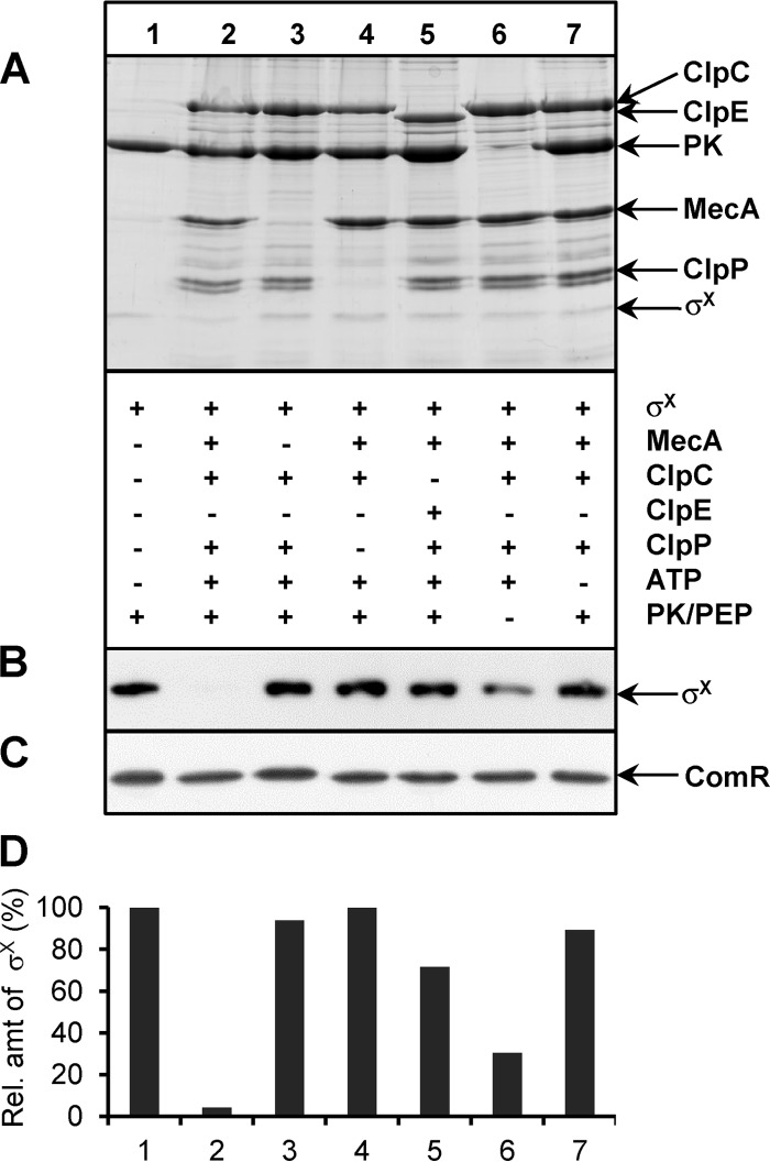 FIG 4