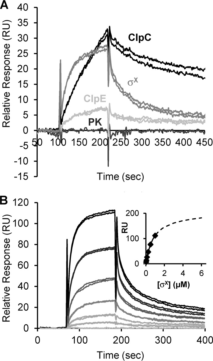 FIG 1