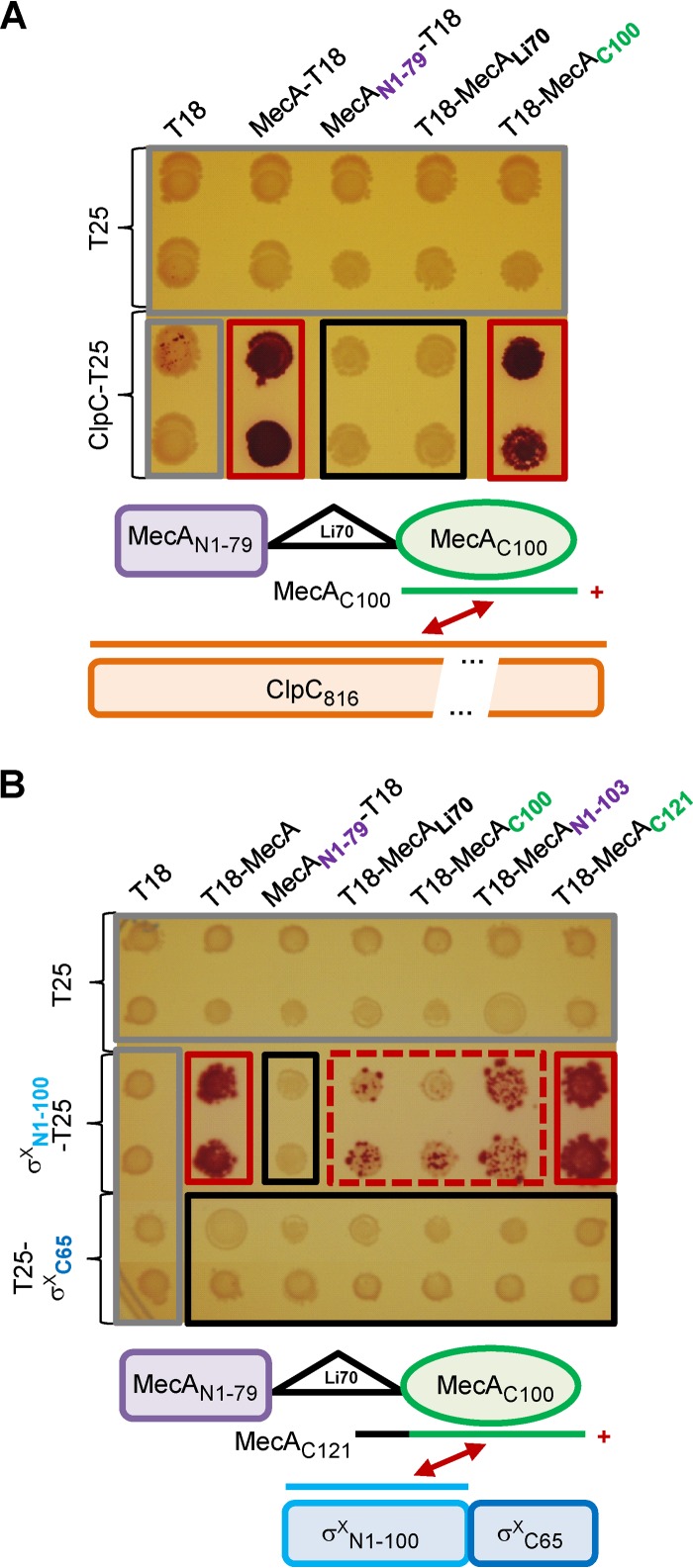 FIG 2