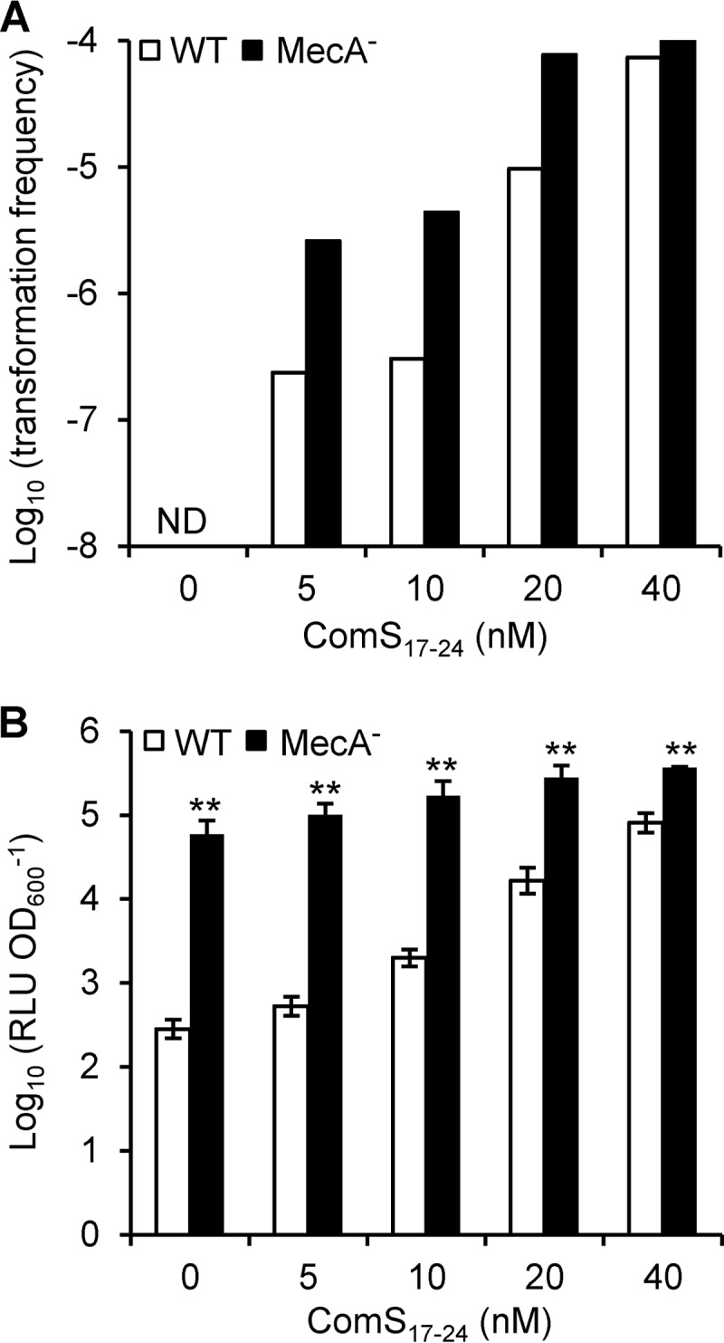 FIG 6