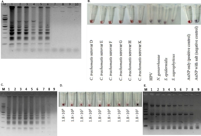 Fig 1