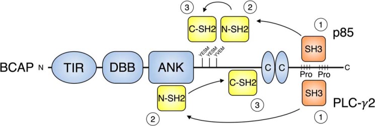 Figure 7.