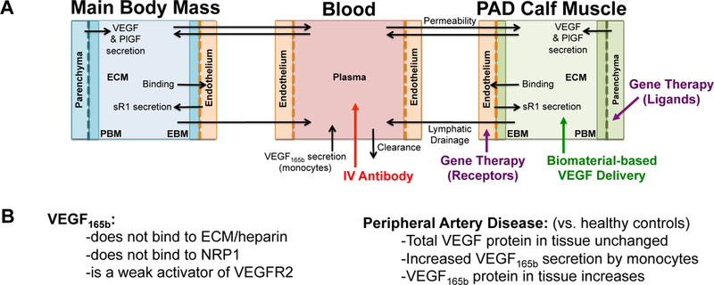 Fig 1.