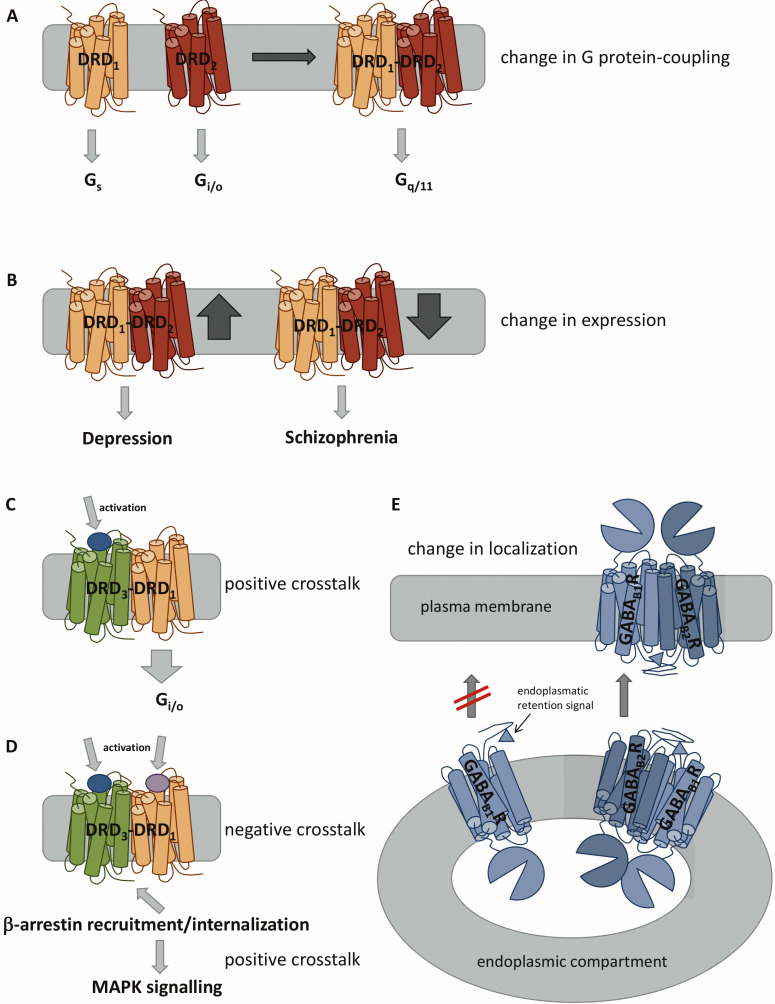 Fig. (2)