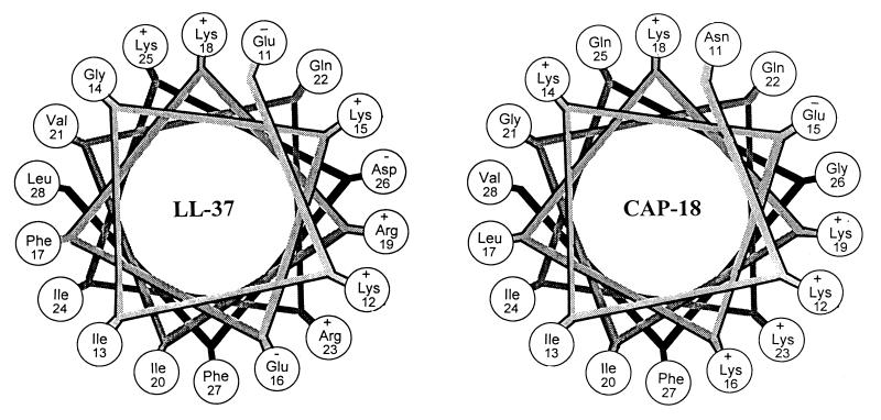 FIG. 7