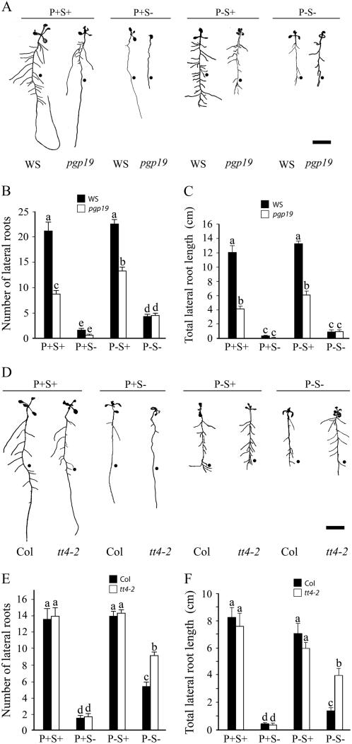 Figure 6.