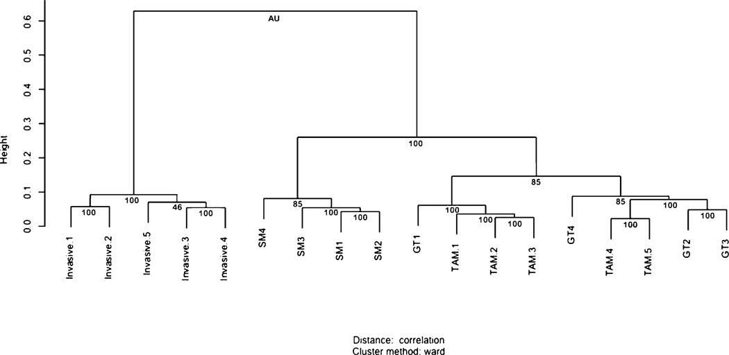 FIGURE 2