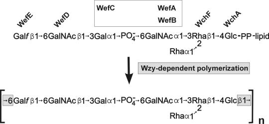 FIG. 6.