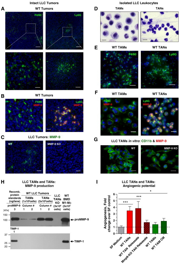 Figure 6