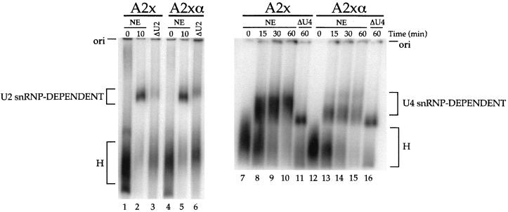 FIG. 7