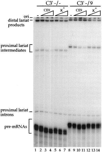 FIG. 6