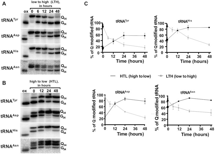 Figure 7.