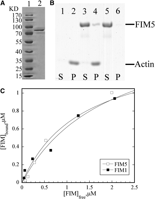 Figure 9.