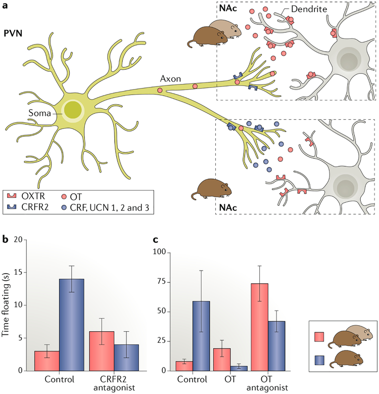 Fig. 4 |