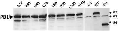 FIG. 3