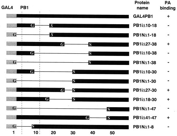 FIG. 1