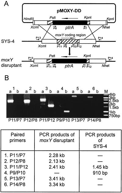 FIG. 4.