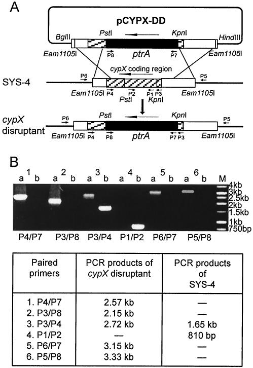 FIG. 2.