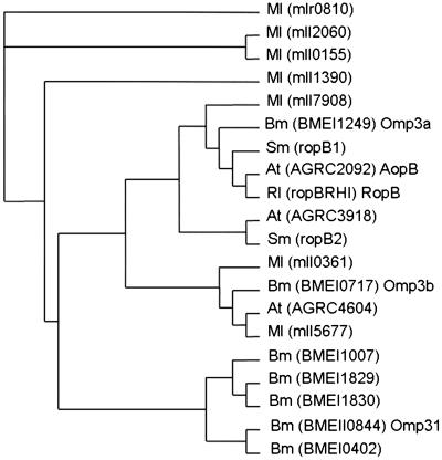 Fig 4.