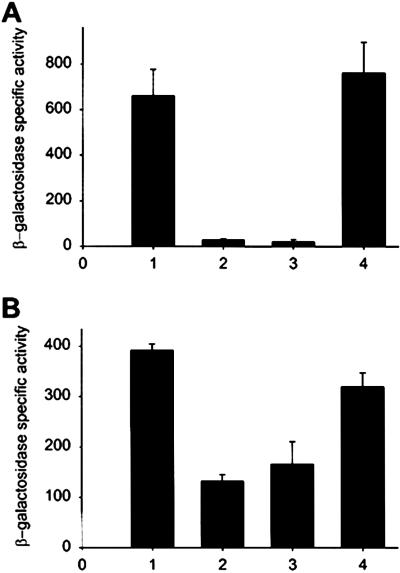 Fig 3.