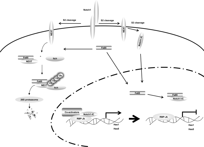 FIGURE 9.