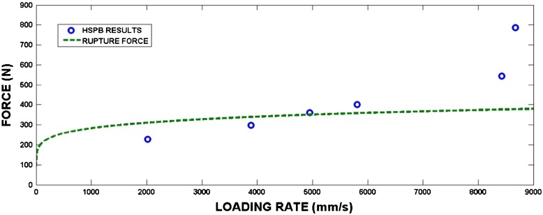 Fig. 11