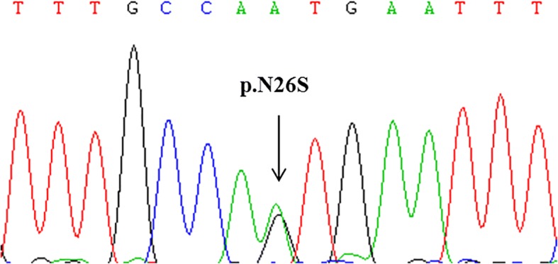 Fig. 2