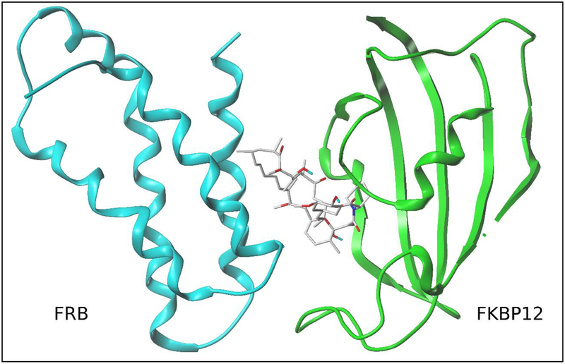 Figure 2: