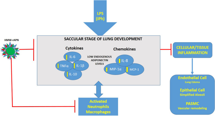 FIGURE 11