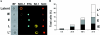 FIG. 4.