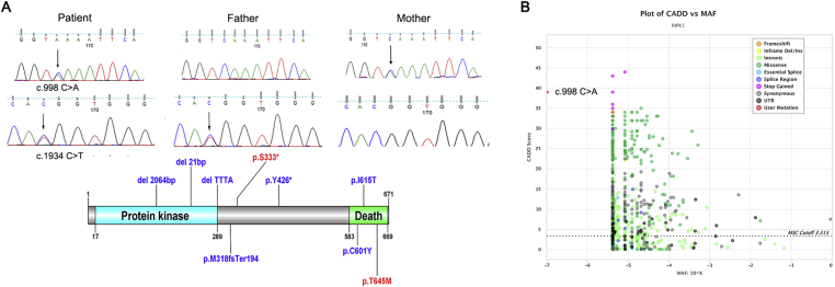 Figure 2