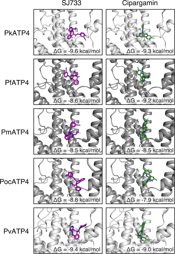 FIG 6