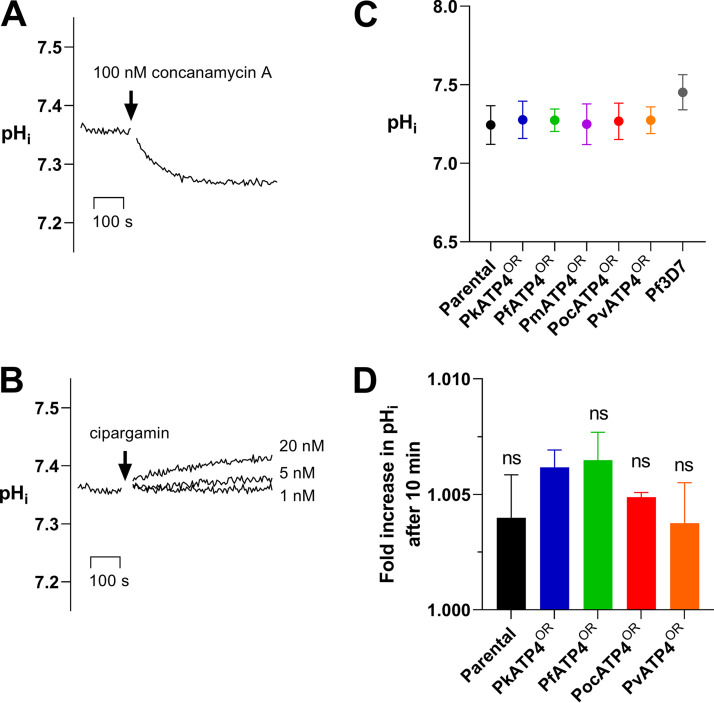 FIG 4