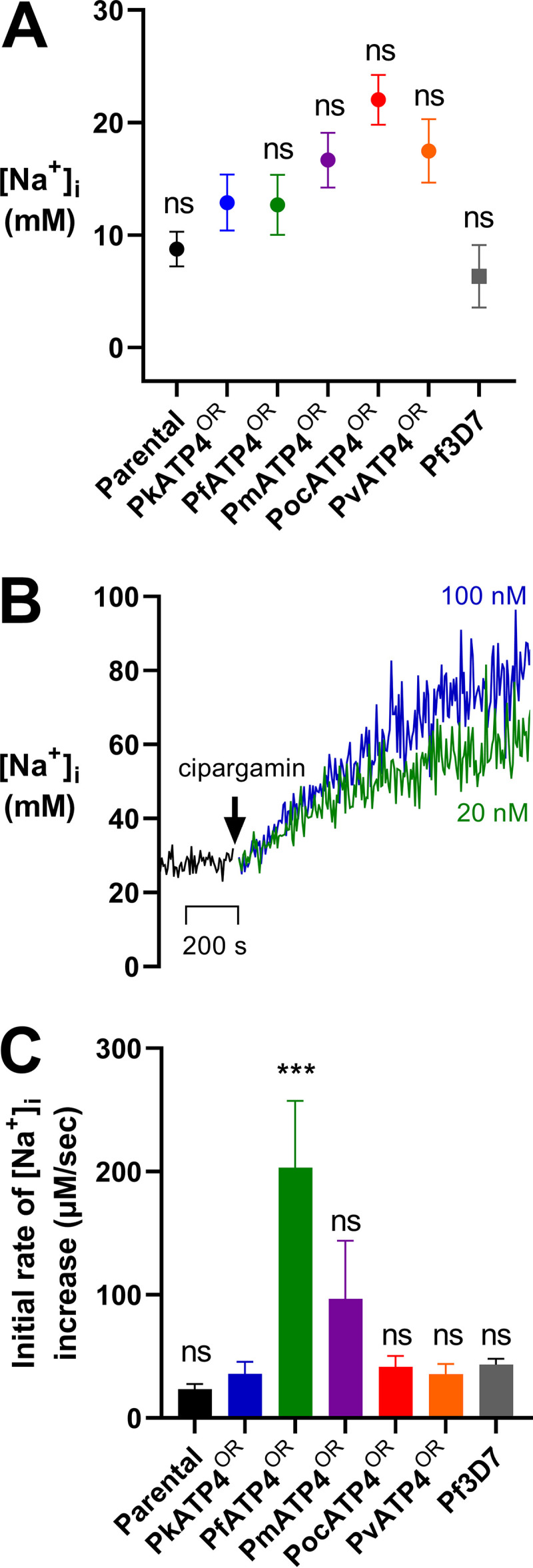 FIG 3