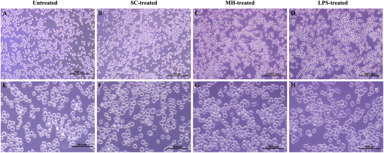Figure 2
