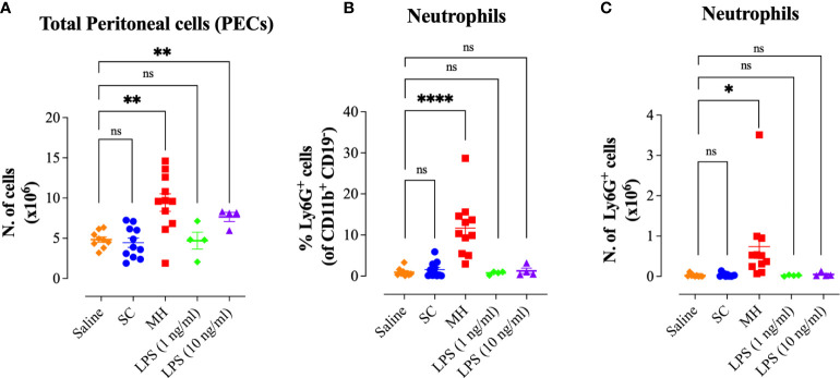 Figure 5