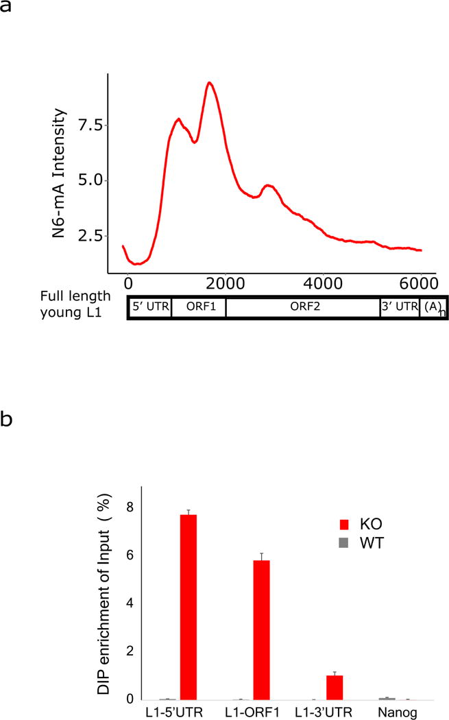 Extended Data Figure 6