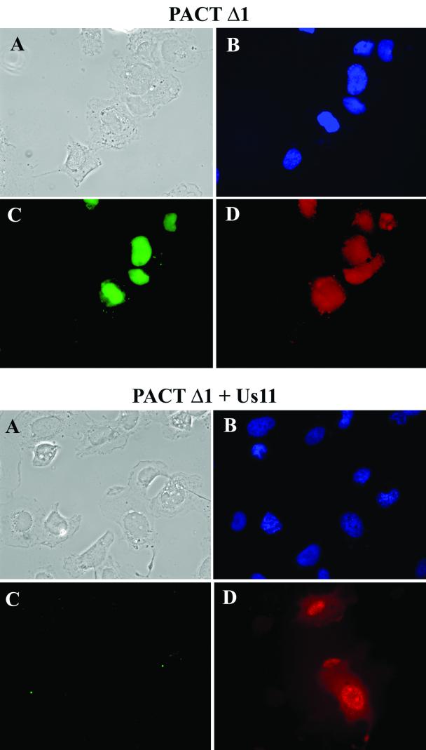 FIG. 9.