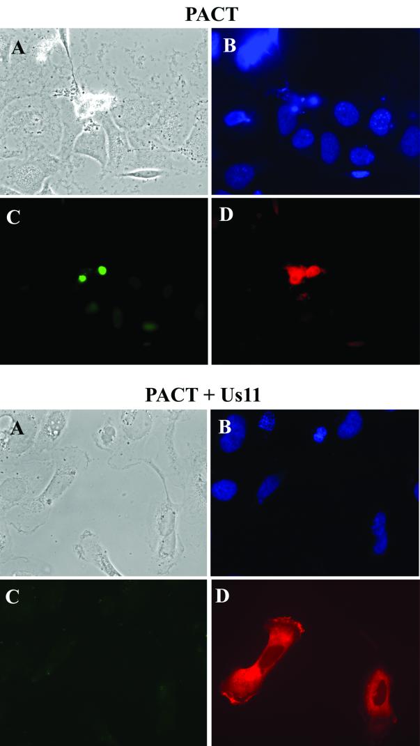 FIG. 8.