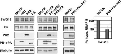 FIG. 6.