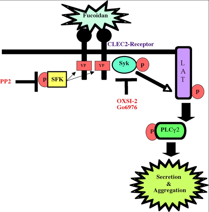 FIGURE 7.